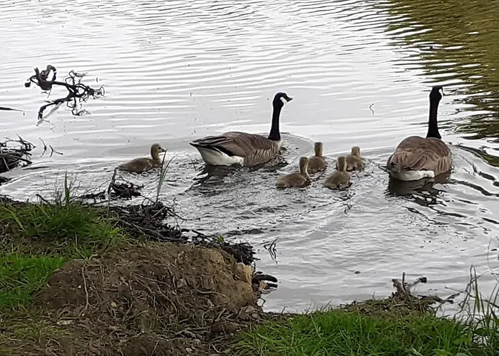Tatil Evi Petite Maison Normande *
